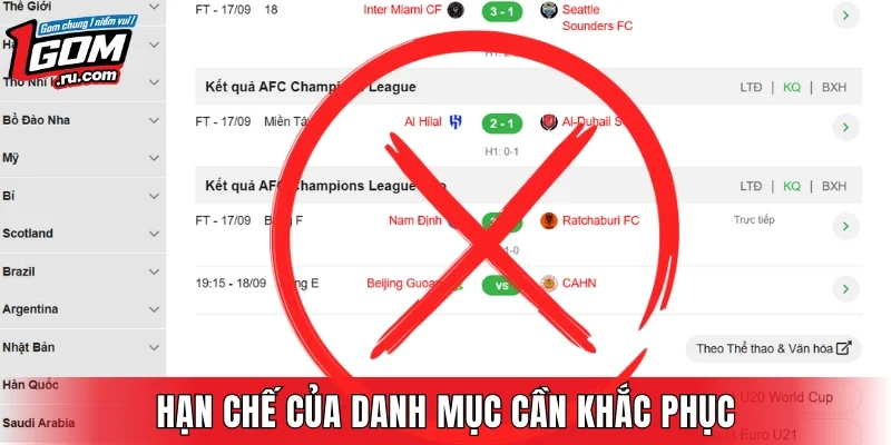 Điều hạn chế danh mục sẽ khắc phục trong tương lai gần 