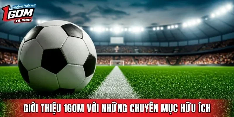Giới thiệu 1GOM với những chuyên mục hữu ích