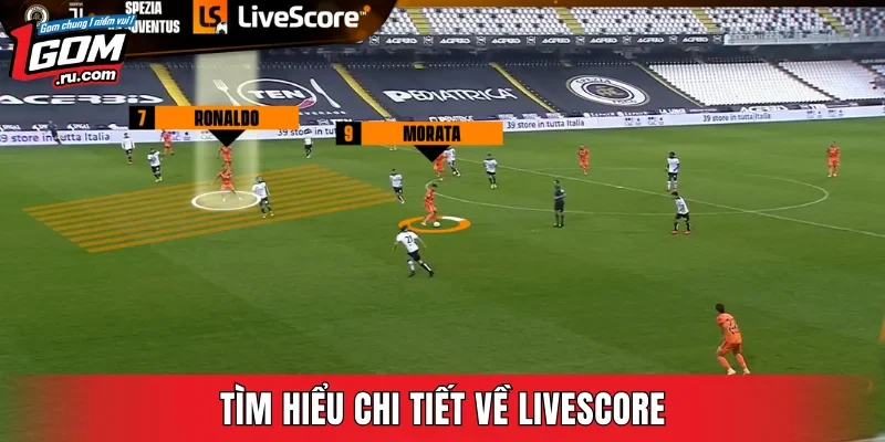 Tìm hiểu chi tiết về Livescore