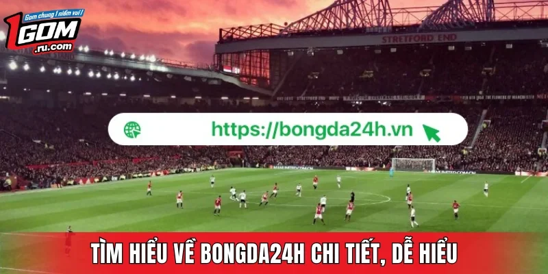Tìm hiểu về Bongda24h chi tiết, dễ hiểu
